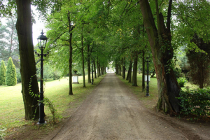 The Krzysztof Penderecki Arboretum